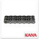 KANAbsdin-2